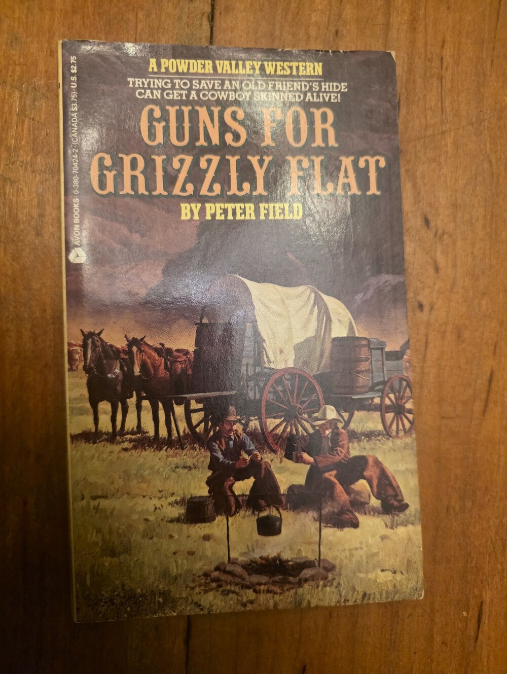 Guns For Grizzly Flat (Peter Field - 1969)